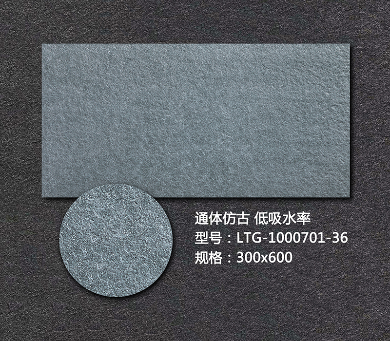 藝術外墻磚LTG-1000701-36