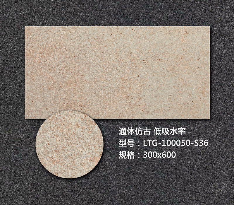 藝術外墻磚LTG-100050-S36