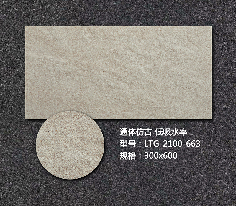 藝術外墻磚LTG-2100-663